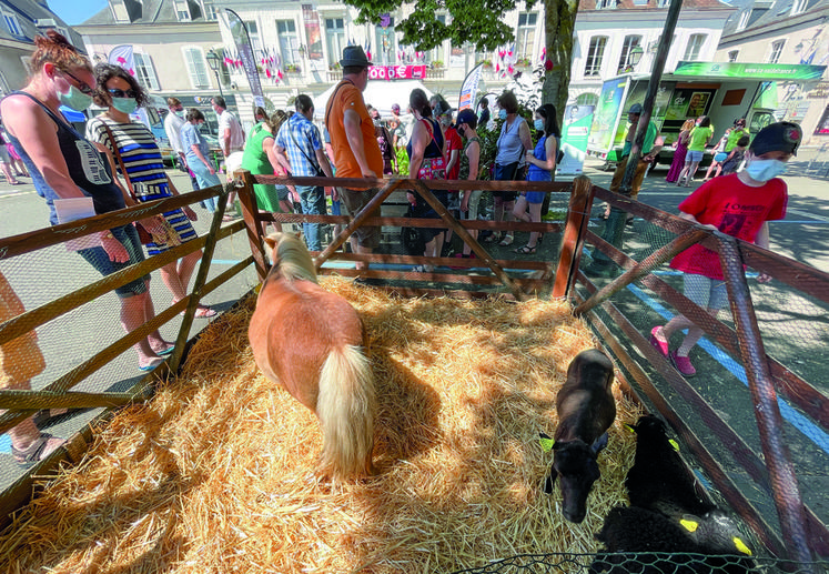 Le 13 juin, à Châteaudun. L'irrigation est un sujet important mais les animaux sont indispensables à la réussite de Plus belle la campagne.