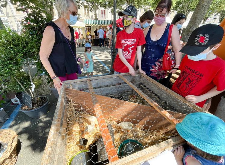 Le 13 juin, à Châteaudun. L'irrigation est un sujet important mais les animaux sont indispensables à la réussite de Plus belle la campagne.