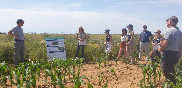 Le 16 juin 2021. Présentation du mélange Pollifauniflor.