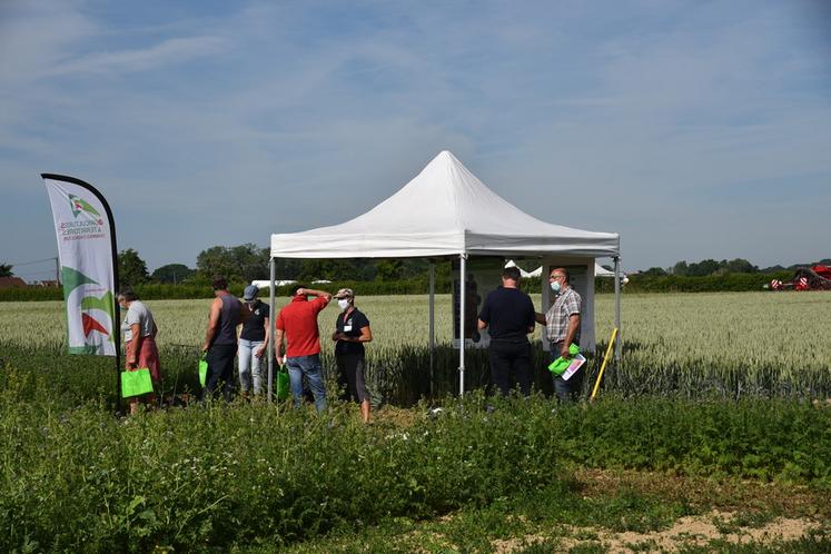 Champcenest, le 15 juin 2021. Plateforme sur l’agriculture de conservation.