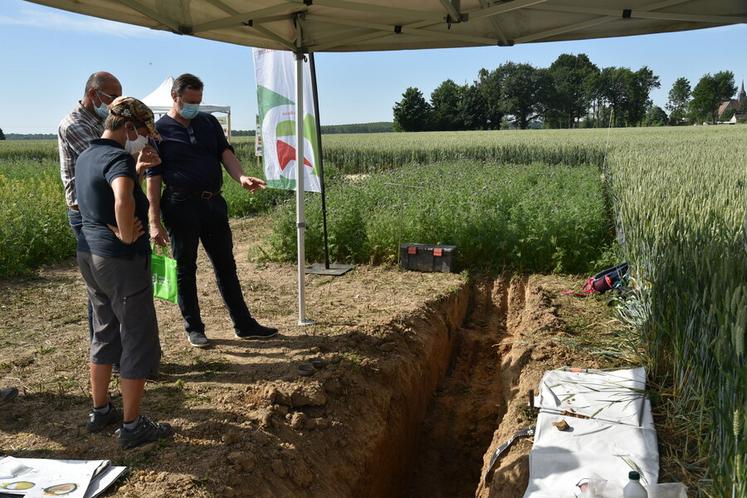 Champcenest, le 15 juin 2021. Une fosse pédologique permet de constater les conséquences de la technique de l'agriculture de conservation en profondeur.