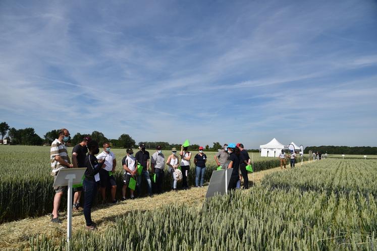 Champcenest, le 15 juin 2021. Plateforme sur l’agriculture de conservation.