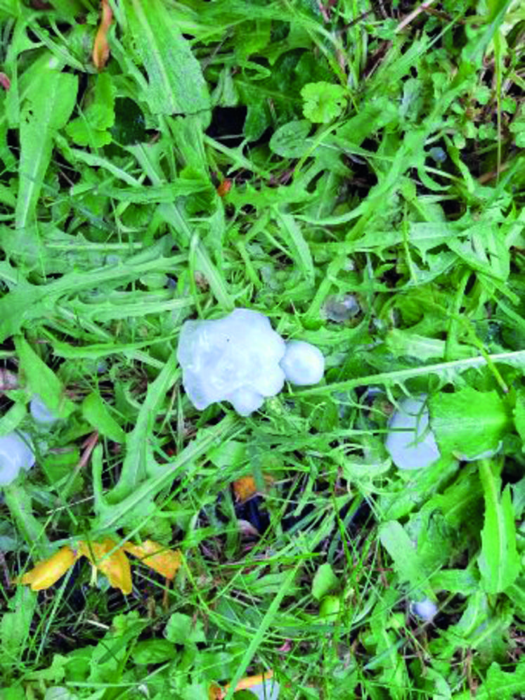 Dans le secteur d'Étampes, des grêlons de 2 à 6 cm de diamètre sont tombés samedi 19 juin en fin d'après-midi.