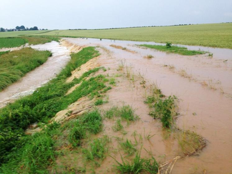 Parcelle inondée en Seine-et-Marne après un orage le 19 juin 2021.