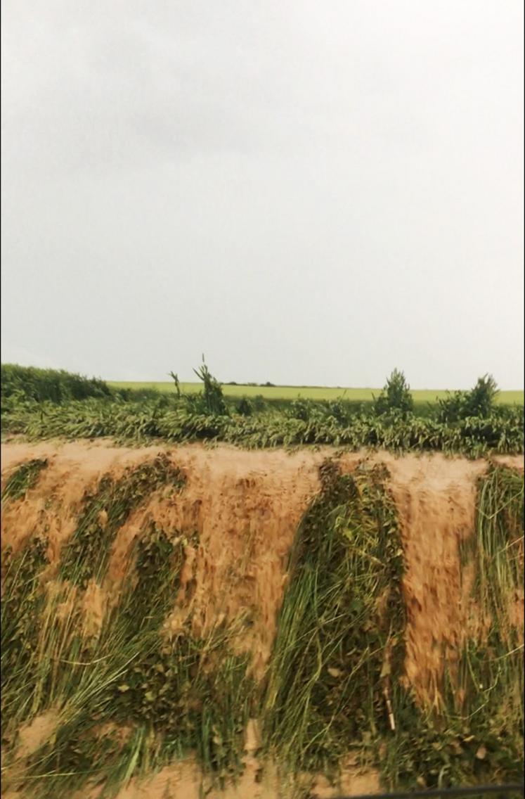 Les fortes précipitations du 19 juin 2021 en Seine-et-Marne ont provoqué des dégâts dans les cultures.