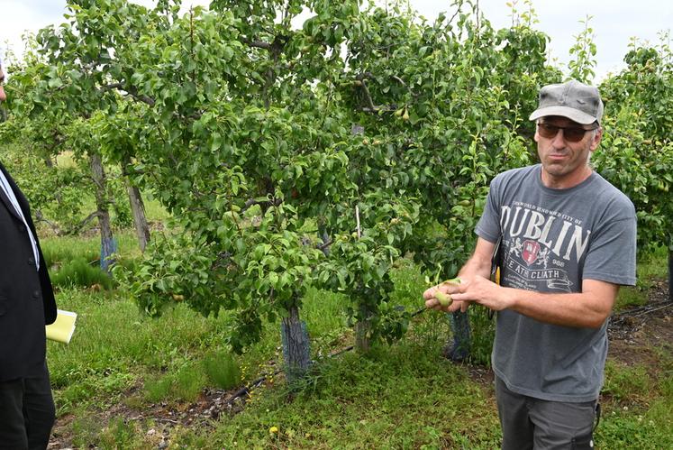 André Cellier montre la partie de liège à retirer sur le fruit, ce qui n'empêche en rien sa consommation.