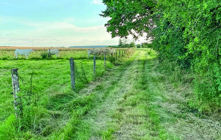 Chemin de promenade qui suit les traces de Marcel Proust autour de Combray, inauguré le 10 juillet 2021.