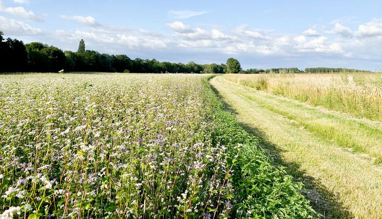 Chemin de promenade qui suit les traces de Marcel Proust autour de Combray, inauguré le 10 juillet 2021.