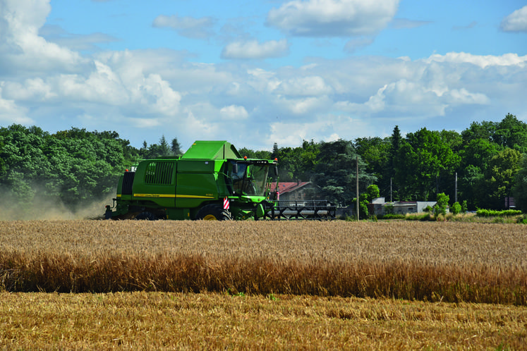 La moisson francilienne a enfin pu débuter. Les premiers résultats sont corrects malgré quelques critères qualité dégradés en raison de l'importante pluviométrie de ces dernières semaines.