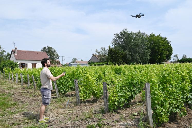 François Vaullerin a lancé le programme de survol du drone. Il va prendre de nombreuses photos au fil des rangs de vigne.
