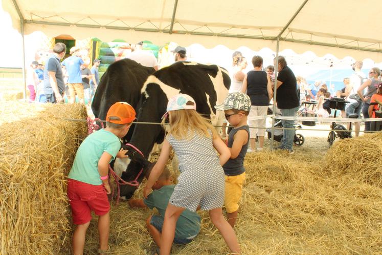 Terre en fête 2021. Les animaux de la ferme étaient présents pour le bonheur des visiteurs, petits et grands. 