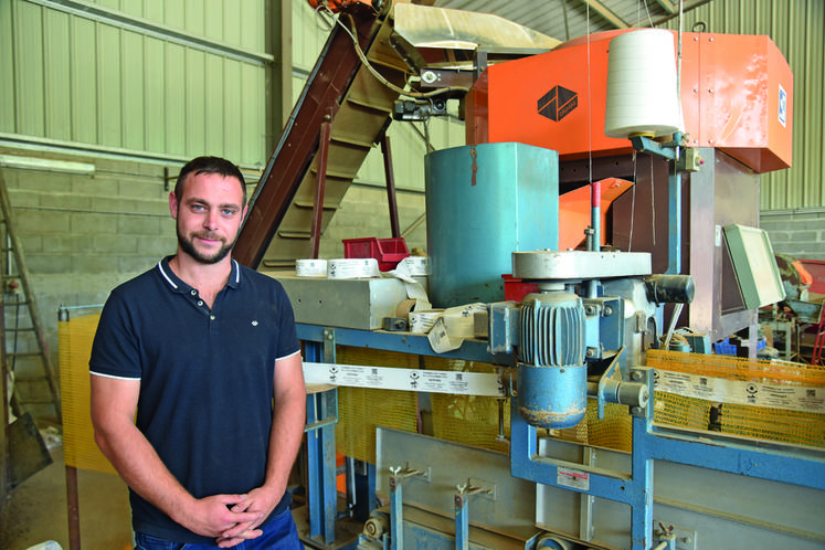 Vendredi 3 septembre, à Bagneaux-sur-Loing. À l’aide de sa conditionneuse, il commercialise des sacs de 10 kg avec étiquetage automatique.
