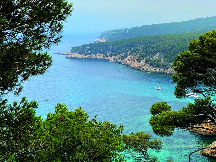 Magnifique vue depuis le sentier des vignes de Bandol.