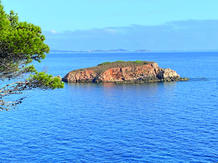 Magnifique vue depuis le sentier des vignes de Bandol.