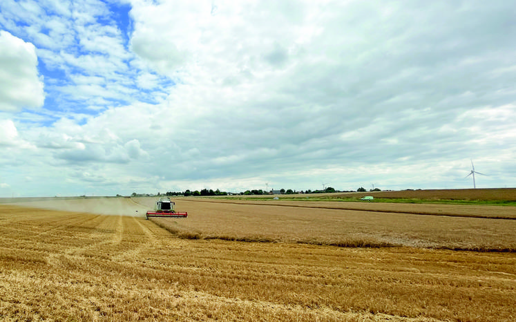 En dépit de terres détrempées, les premières éclaircies début juillet ont permis le lancement de la récolte en Eure-et-Loir.