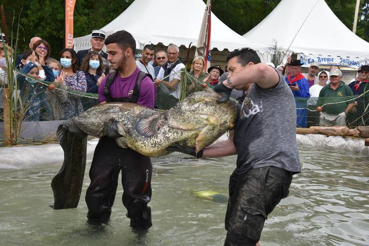 Samedi 11 septembre 2021, Fête de la Sange à Sully-sur-Loire.