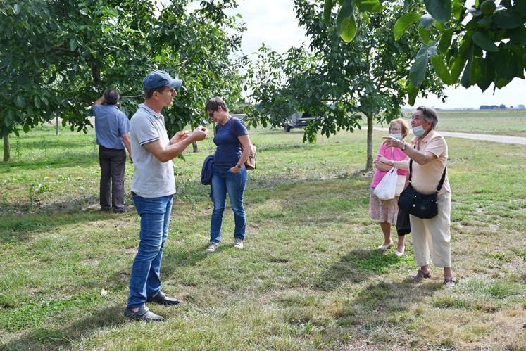 Dimanche 12 septembre, à Nourray. Le Gaec Le Boël a accueilli des visiteurs sur son exploitation dans le cadre des journées portes ouvertes du réseau Bienvenue à la ferme. Ici, Philippe Noyau explique comment sont cultivées les noix.