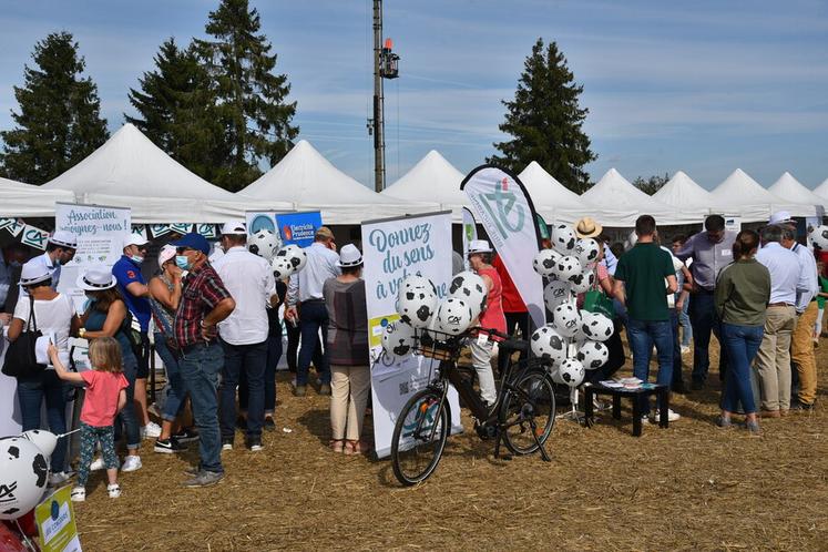 Dimanche 12 septembre 2021 au Festival de la terre, à Voulangis. 