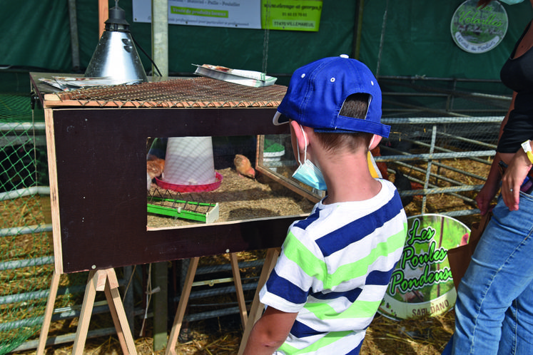 Dimanche 12 septembre 2021 au Festival de la terre, à Voulangis. Sur la mini-ferme, la nouveauté de l'année, une poussinière, faisait le bonheur des enfants. 
