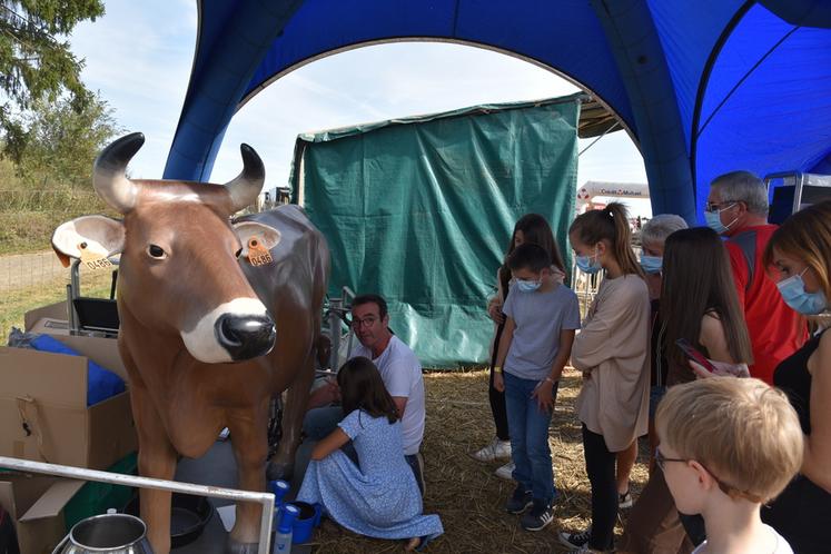 Dimanche 12 septembre 2021 au Festival de la terre, à Voulangis. Apprentissage de la traite.