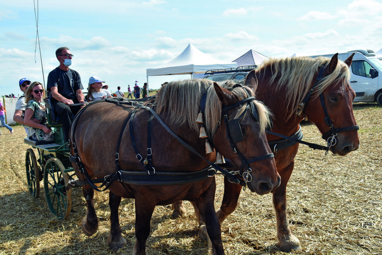 Dimanche 12 septembre 2021 au Festival de la terre, à Voulangis. La calèche, tout comme l'hélicoptère, a fonctionné en continu tout au long de la journée, preuve du succès rencontré par les animations proposées. 