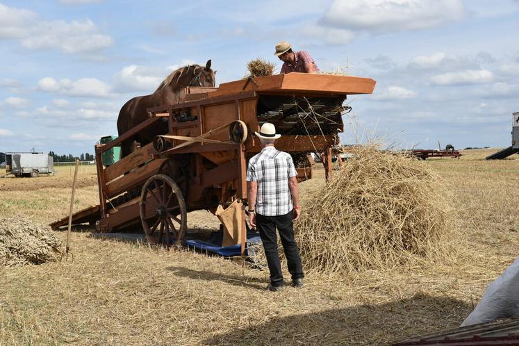 Dimanche 12 septembre 2021 au Festival de la terre, à Voulangis. 