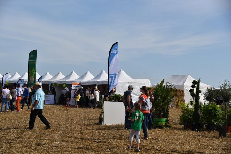 Dimanche 12 septembre 2021 au Festival de la terre, à Voulangis. 