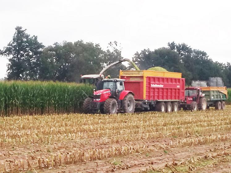 Au Gaec Vaucher, à Muides-sur-Loire, les ensilages de maïs ont démarré ­mercredi 15 septembre.