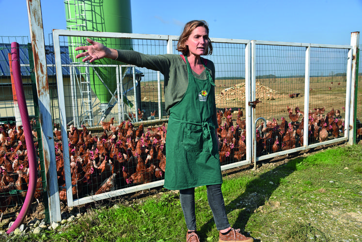 L'éleveuse des « P'tites cocottes d'Édith » gère trois poulaillers pour une capacité maximale de 5 700 poules.