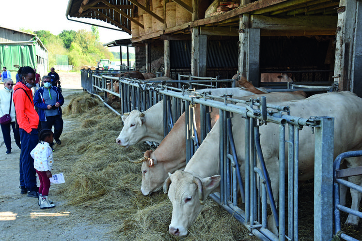 À la Ferme de la Recette, l'élevage est au cSur de la visite, le tout complété par un questionnaire, une dégustation de saucisses de bSuf ou un hamburger pour se restaurer. Un marché du terroir parachève la visite.
