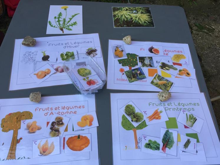 Parmi les jeux proposés par la Ferme Chaillotine, un jeu sur les fruits et légumes.