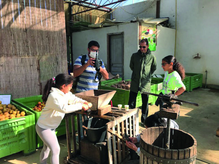 À la Cueillette de la Grange, à Coubert, les visiteurs essaient le pressoir pour obtenir du jus de pommes du verger.