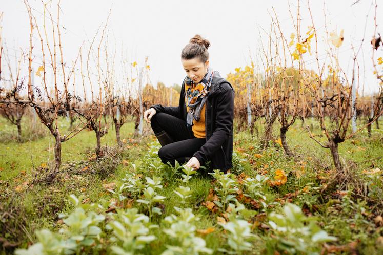 Charlotte Denis, viticultrice à Mareuil-sur-Cher. 