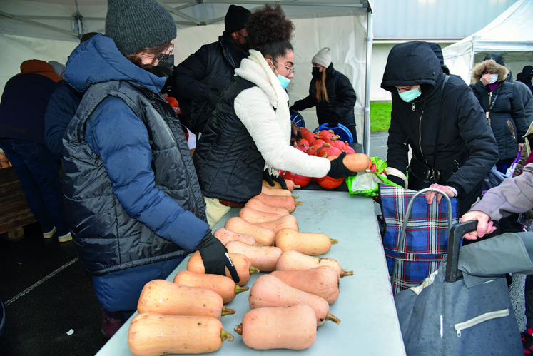 Les habitants ont pu repartir avec des potimarrons et des butternuts. 