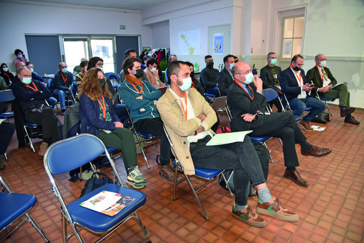 Le 24 novembre à Évecquemont (Yvelines), le comité de filière dédié aux producteurs de champignons s'est tenu pour la deuxième fois. 
