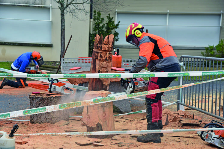 Durant les deux jours, les étudiants de la filière forestière faisaient des démonstrations de sculpture sur bois.