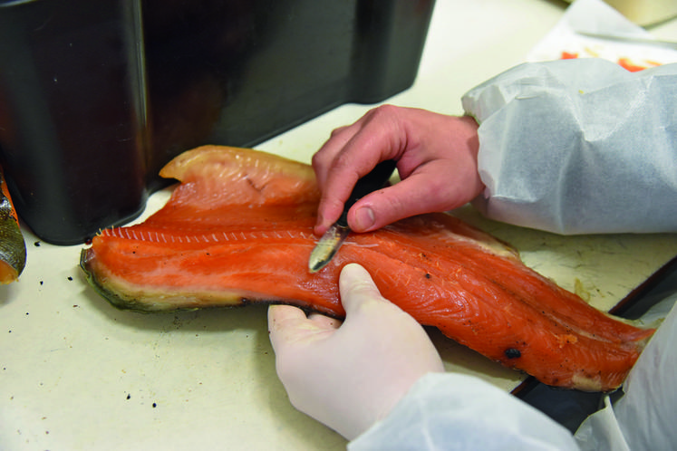 Dans le laboratoire alimentaire, les truites sont transformées à la demande des clients. Ici, les arêtes sont retirées de la chair.