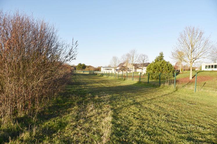 La régie agricole communale de Saran est située dans la zone agricole protégée du Domaine du Clos-Vert, en face du centre de loisirs Marcel-Pagnol.