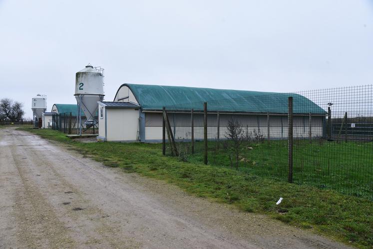 Quatre bâtiments de 120 m2 composent l'exploitation avec chacun leur parcours extérieur.