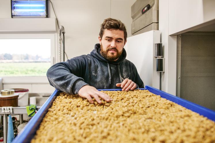 L'agriculteur prépare jusqu'à 200 kg de pâtes dans ses deux séchoirs.