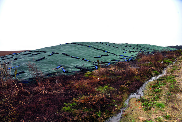 Orge et maïs ont été cultivés, ensilés et bâchés dès l'an dernier afin d'anticiper le stock.