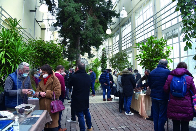 De 9	h	30 à 13 heures, le magnifique cadre de la serre des Jardins des plantes d'Orléans accueillait le marché aux truffes. «	Un bel écrin pour présenter un produit d'exception	», souligne Marie-Christine Ligouis, trufficultrice et présidente de l'Association des trufficulteurs Beauce-Val de Loire.