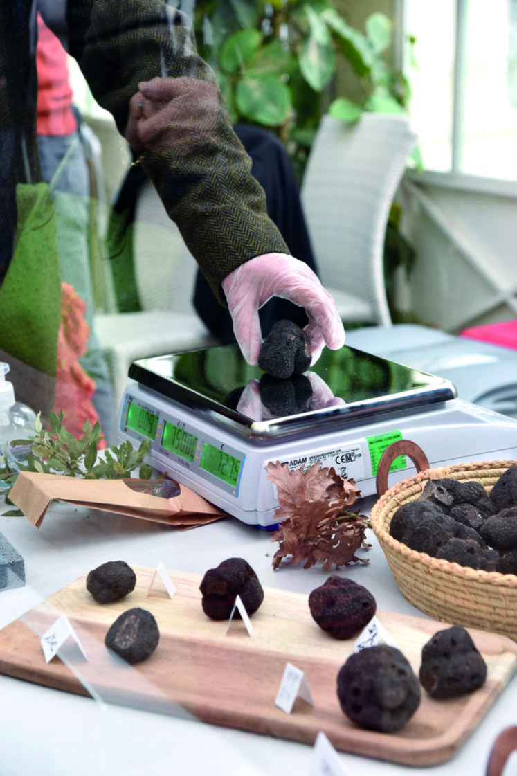 Pour chaque achat, la truffe choisie est pesée. Sur les stands, la truffe était vendue entre 700 et 900 euros le kilo. Il n'est cependant pas nécessaire d'en acheter autant pour vous régaler.