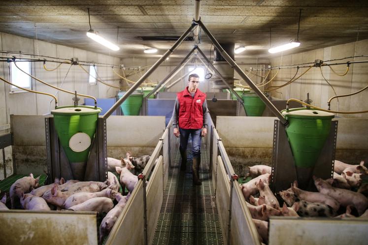 De l'éleveur aux consommateurs, l'agriculteur défend une vision locale et durable pour l'exploitation.