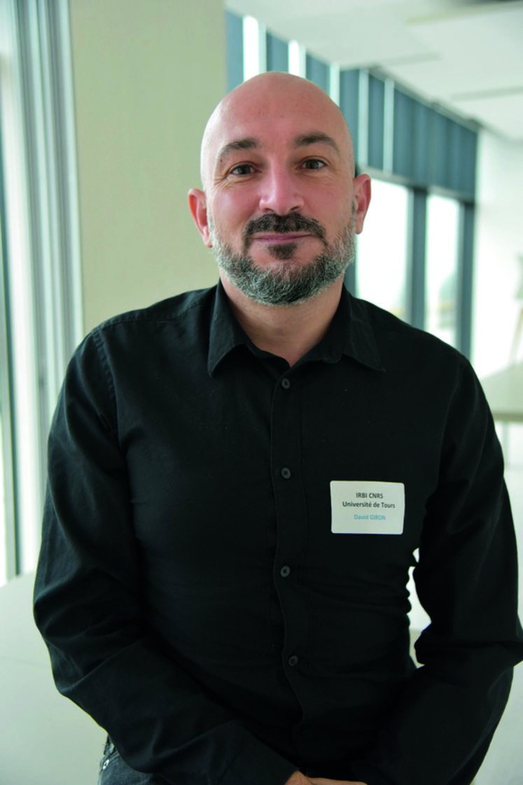 David Giron est directeur de recherche au CNRS* et directeur de l’Irbi**. 