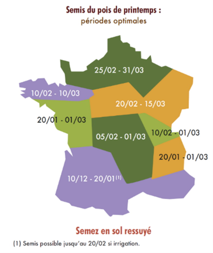 Plages de semis conseillées par Terres Inovia.