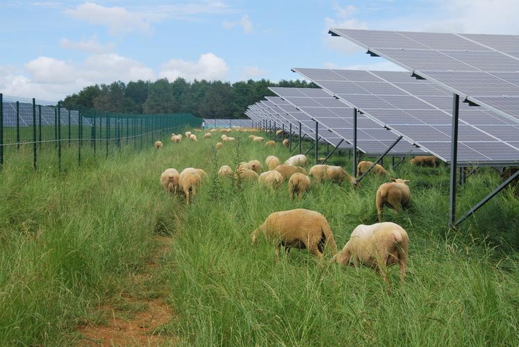 Le couplage de l’activité de production d’énergie renouvelable et de la production agricole doit être réfléchi le plus tôt possible.