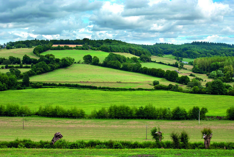 La chambre d'Agriculture de région Île-de-France et Agrof'Île organisent une journée de découverte de la Ferme des Clos à Bonnelles (Yvelines), lauréat du CGA Agroforesterie.