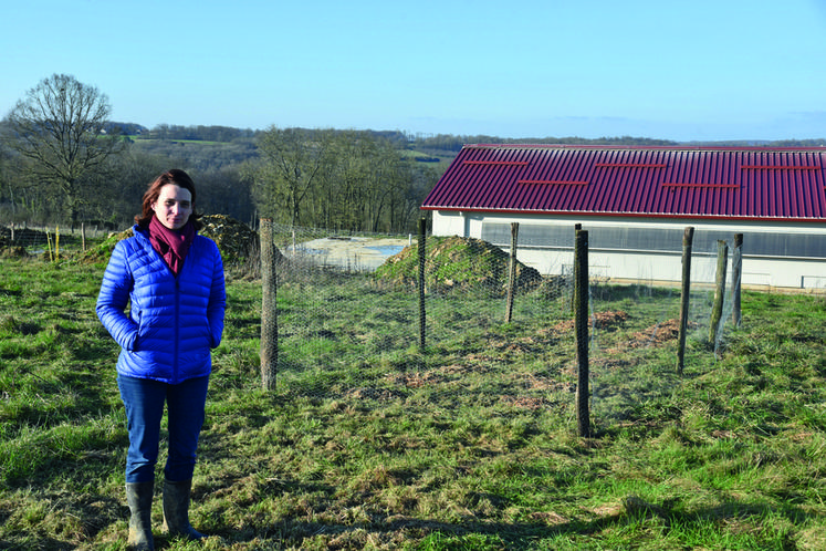 Verdelot, mardi 18 janvier. Une partie des arbres plantés forment des peignes face aux sorties des poulaillers.