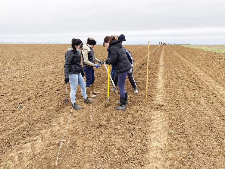 Le 3 février, à Villiers-Saint-Orien. 1	200 mètres de haie ont été plantés entre deux parcelles par des élèves de 1re Stav* du LEAP de Nermont.